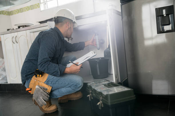 Best Drain Cleaning Services  in Ogden Dunes, IN
