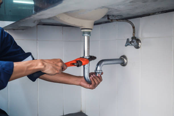 Best Plumbing Services Near Me  in Ogden Dunes, IN
