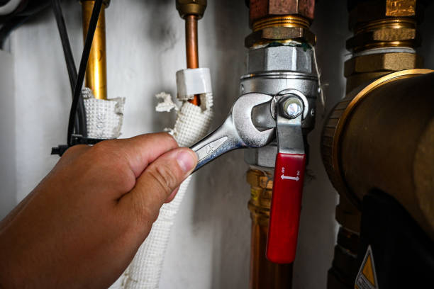Best Plumbing Inspection Services  in Ogden Dunes, IN